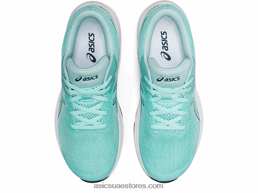 Asics واضح الأزرق / ماكو الأزرق المدرسة الابتدائية GT-1000 11 2N24DJ4451