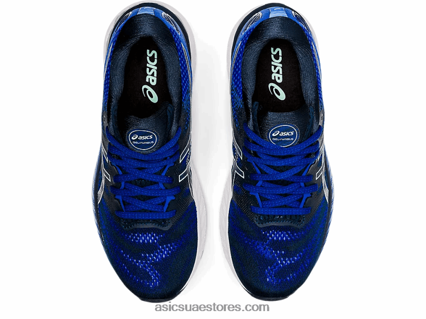 Asics الأزرق الفرنسي / الجليد الطازج جل نيمبوس 23 2N24DJ3899