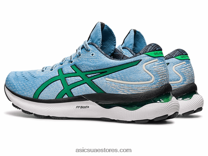 Asics سماء القطب الشمالي / الكزبرة جيل نيمبوس 24 طبعة محدودة 2N24DJ1014