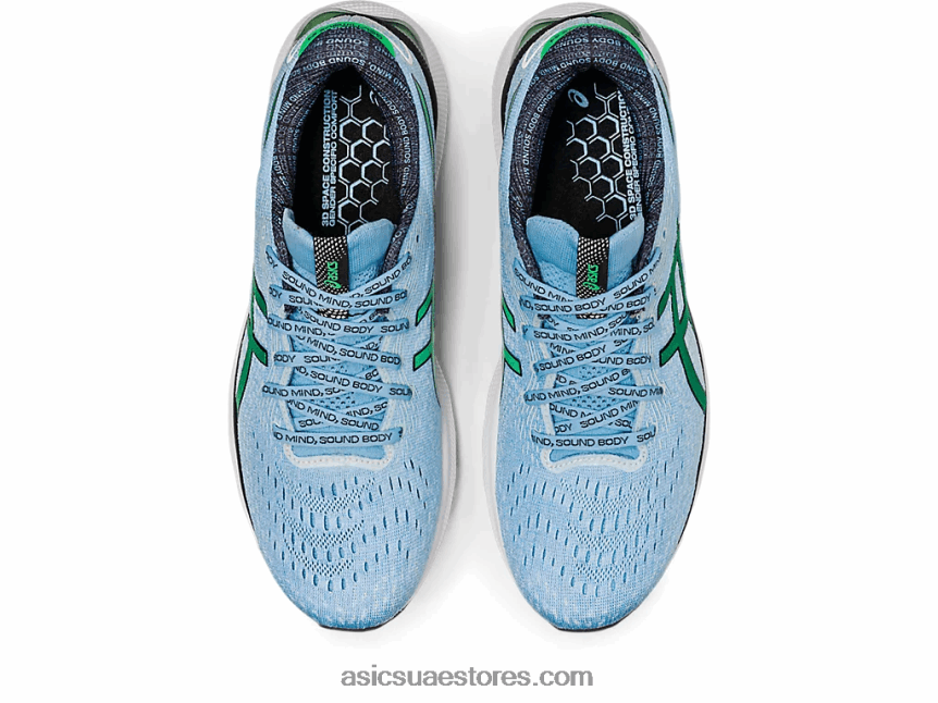 Asics سماء القطب الشمالي / الكزبرة جيل نيمبوس 24 طبعة محدودة 2N24DJ1014