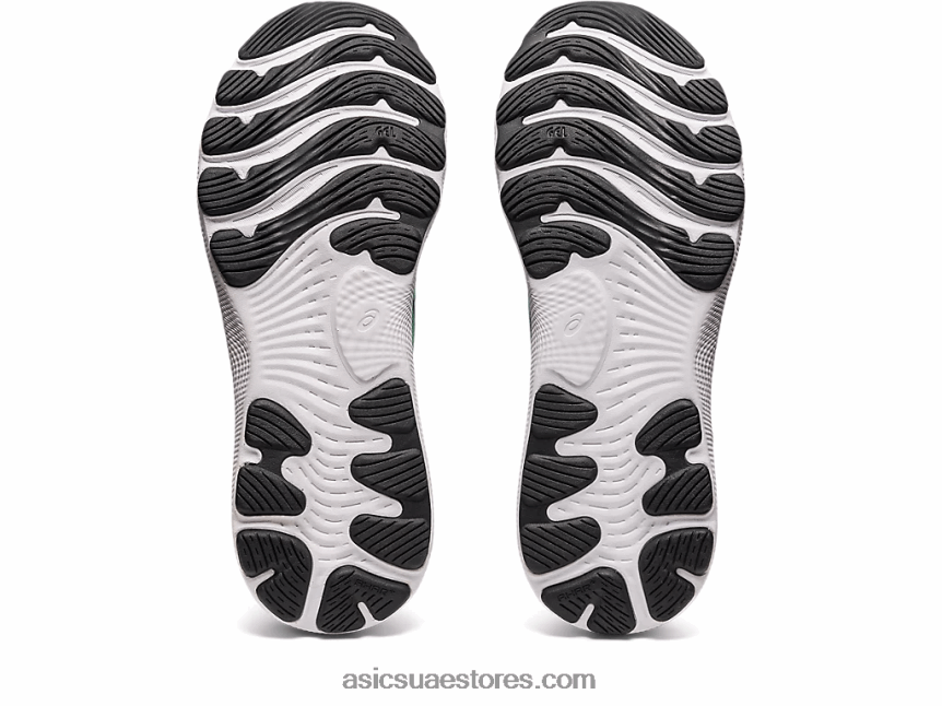 Asics سماء القطب الشمالي / الكزبرة جيل نيمبوس 24 طبعة محدودة 2N24DJ1014