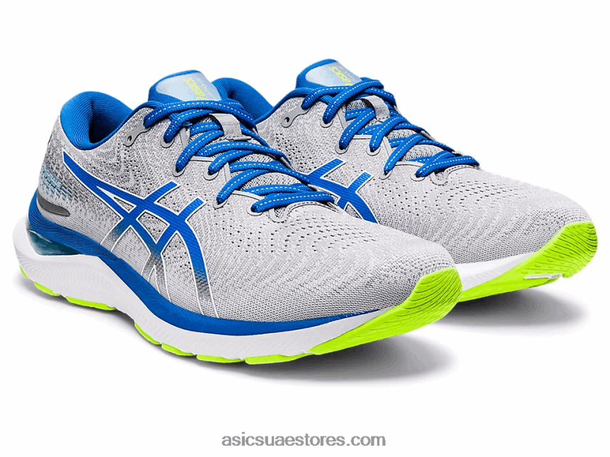 Asics ورقة صخرة / بحيرة محرك جل-ركام 24 2N24DJ1310