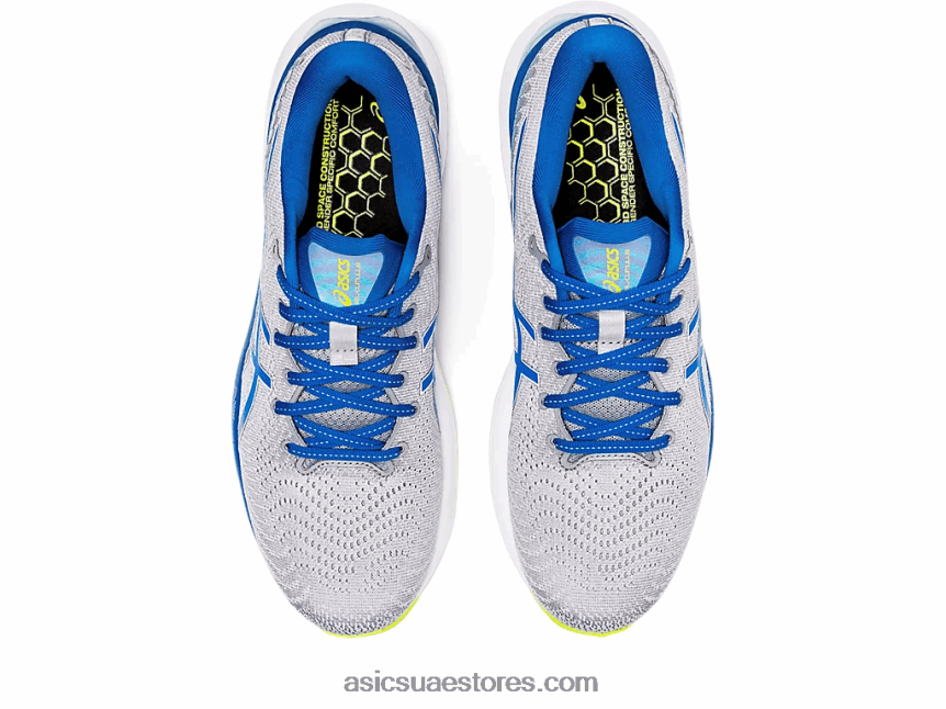 Asics ورقة صخرة / بحيرة محرك جل-ركام 24 2N24DJ1310