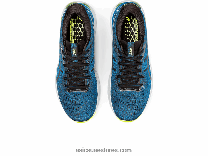 Asics محرك أسود / بحيرة نيمبوس جل 24 2N24DJ1554