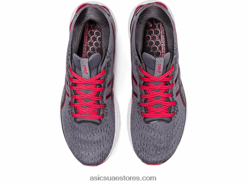Asics متروبوليس / كلاسيك أحمر نيمبوس جل 24 2N24DJ213