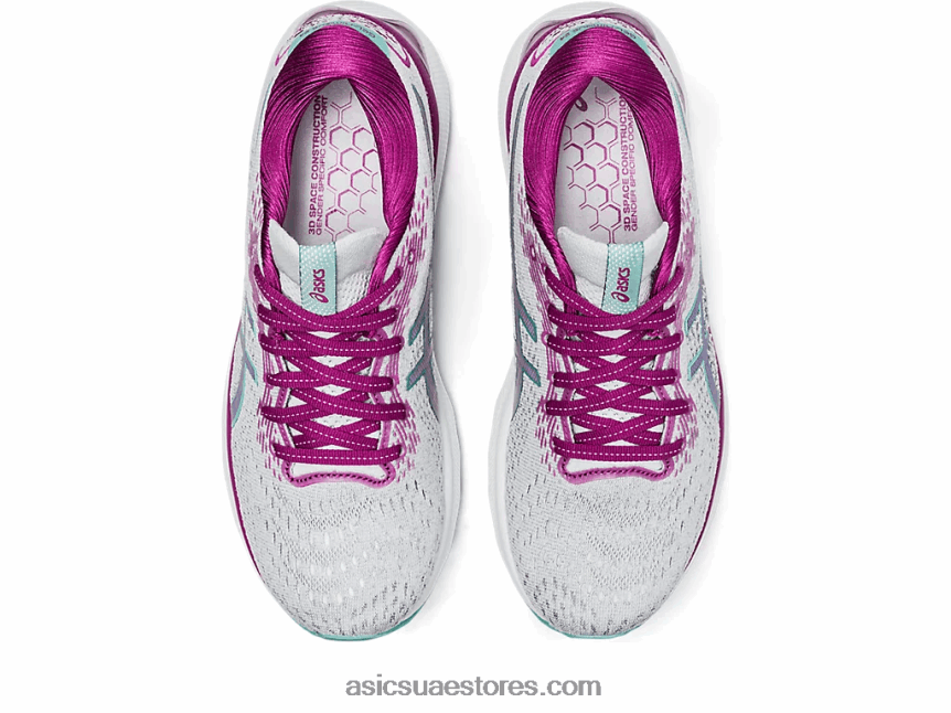 Asics الظل القطبي / المريمية نيمبوس جل 24 2N24DJ2659