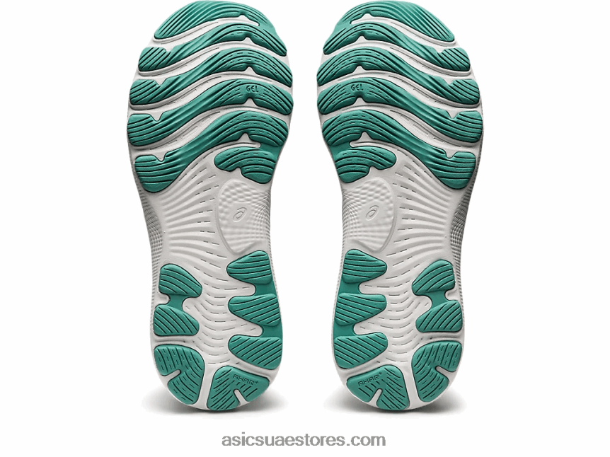 Asics الظل القطبي / المريمية نيمبوس جل 24 2N24DJ2659
