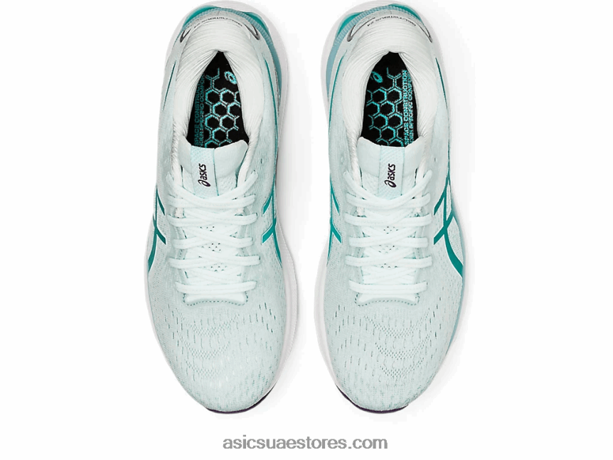 Asics مهدئا البحر / زجاج البحر هلام نيمبوس 24 عريض 2N24DJ2877