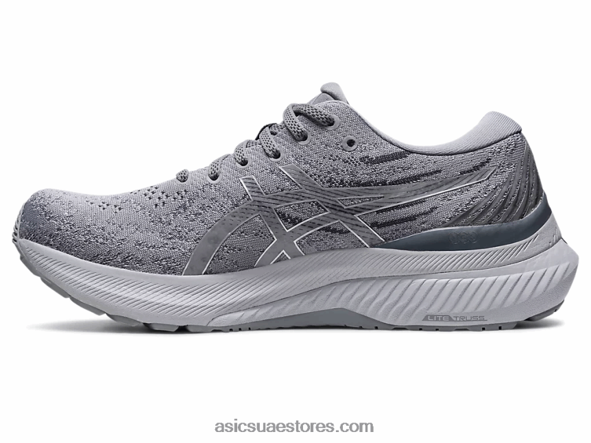 Asics صفيحة صخرية / فضة نقية 29- دواء 2N24DJ2969