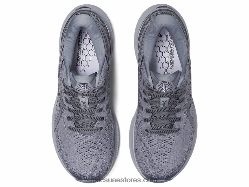 Asics صفيحة صخرية / فضة نقية 29- دواء 2N24DJ2969