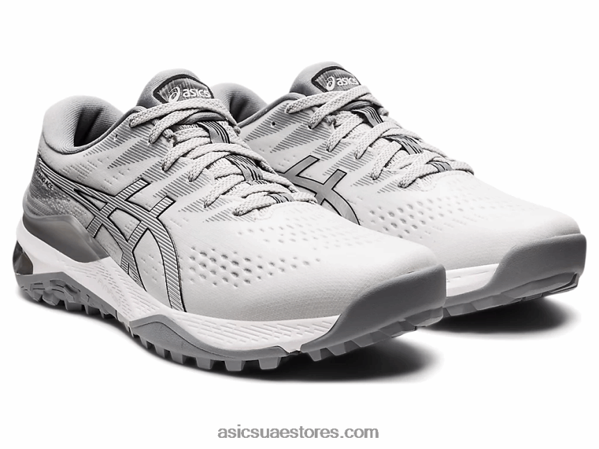 Asics الرمادي الجليدي / الفضة النقية جل كايانو ايس 2N24DJ1192