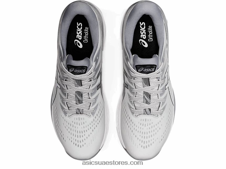 Asics الرمادي الجليدي / الفضة النقية جل كايانو ايس 2N24DJ1192