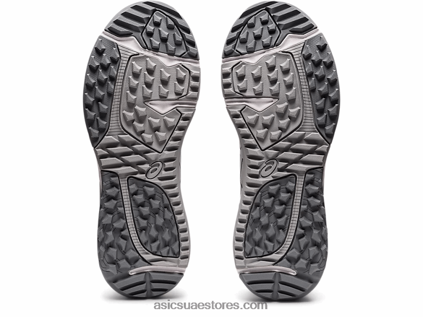 Asics الرمادي الجليدي / الفضة النقية جل كايانو ايس 2N24DJ1192