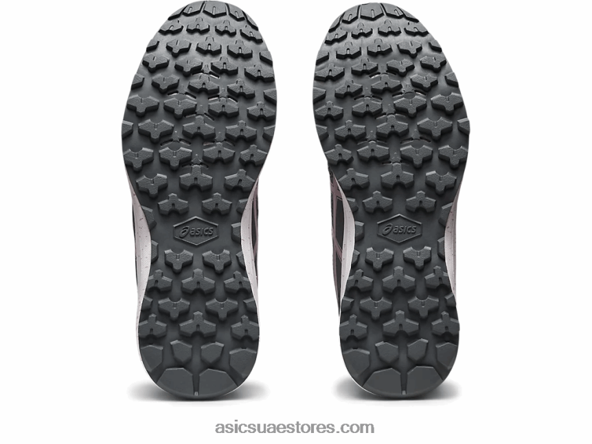 Asics ارتفع الصلب الرمادي / مستجمعات المياه درب تورانس 2N24DJ2288