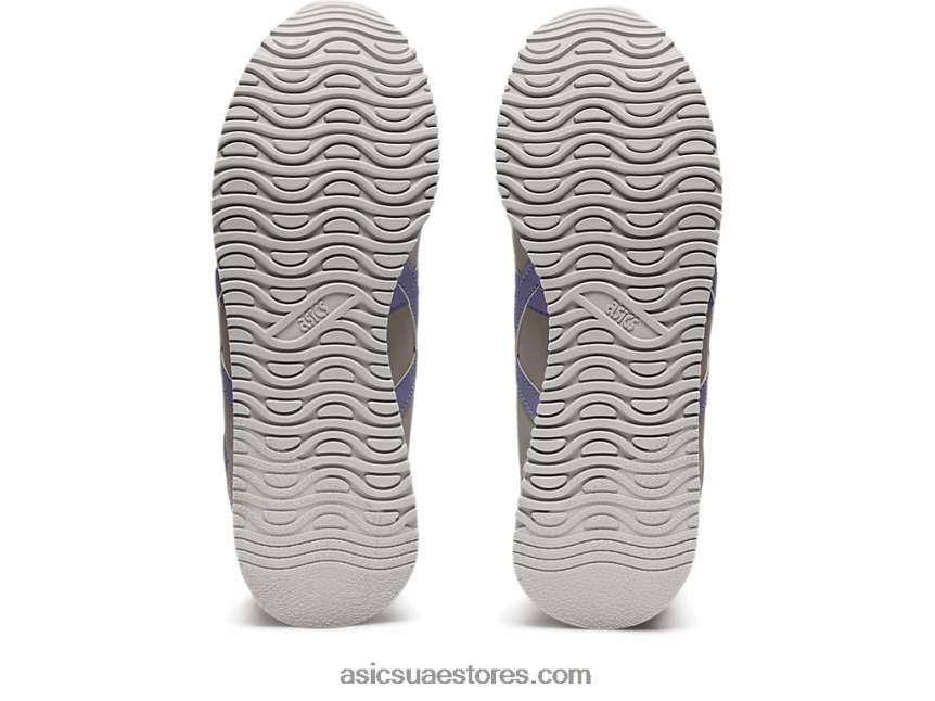 Asics الرمادي الجليدي / بخار عداء النمر 2N24DJ2622