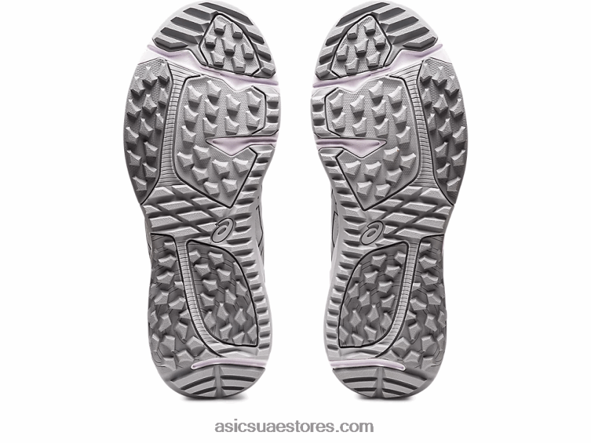 Asics الرمادي الجليدي / الفضة النقية جيل كايانو ايس واسع 2N24DJ292