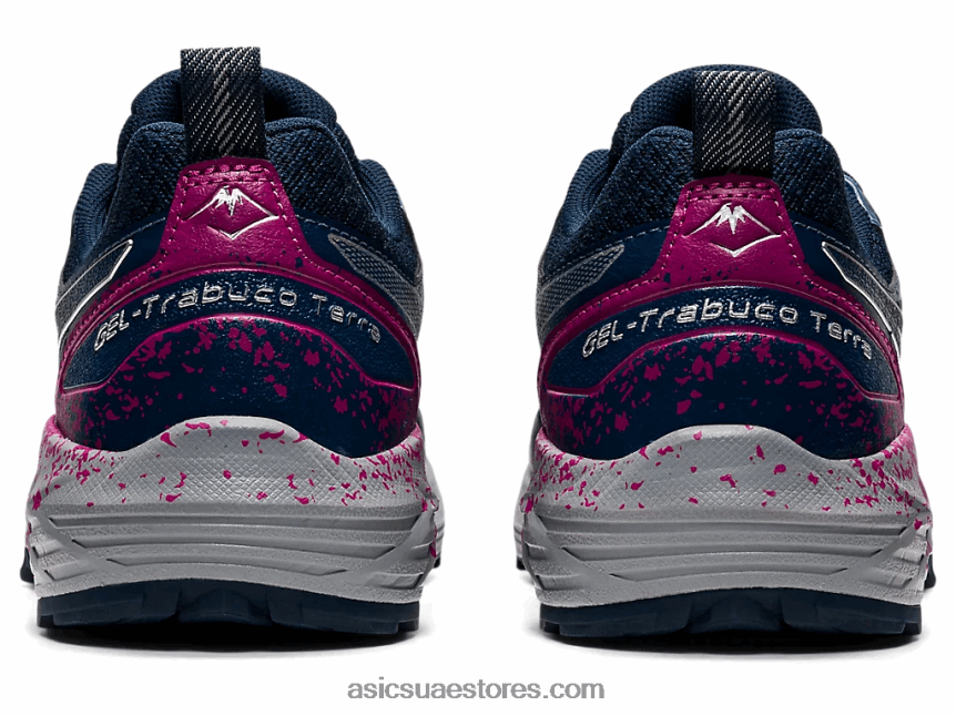 Asics الأزرق الفرنسي / الفضة النقية جل ترابوكو تيرا 2N24DJ3570
