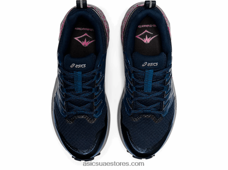 Asics الأزرق الفرنسي / الفضة النقية جل ترابوكو تيرا 2N24DJ3570