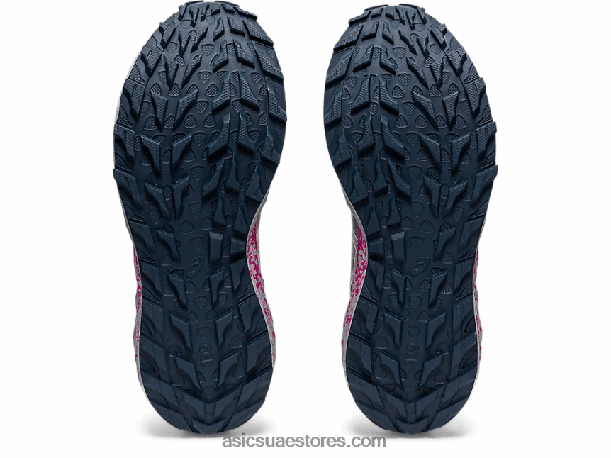 Asics الأزرق الفرنسي / الفضة النقية جل ترابوكو تيرا 2N24DJ3570