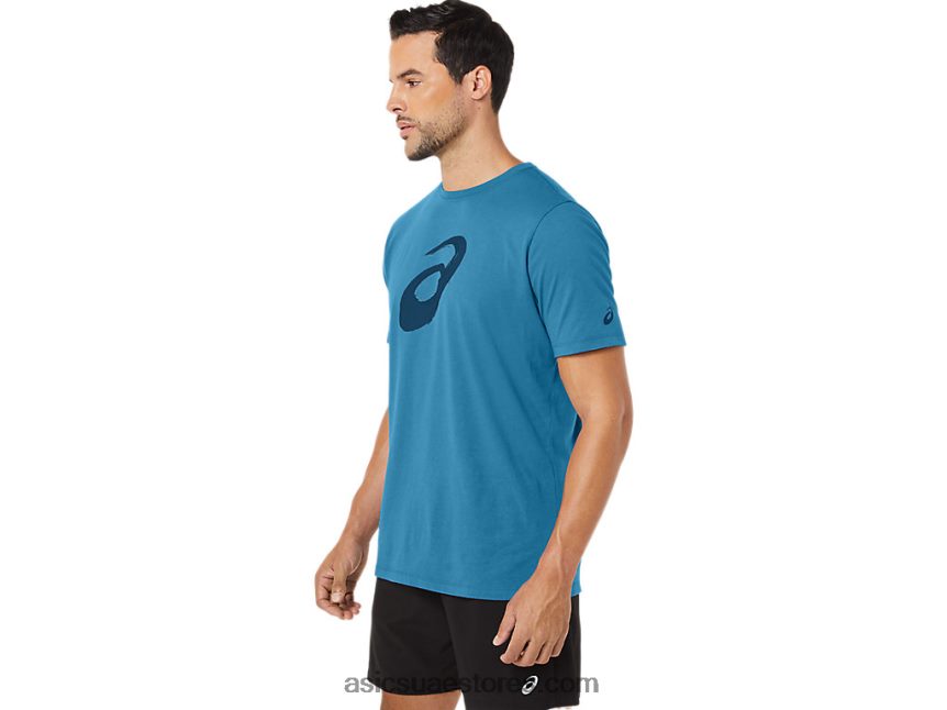 Asics هيذر الجزيرة الزرقاء فرشاة الرسم قصيرة الأكمام المحملة 2N24DJ72