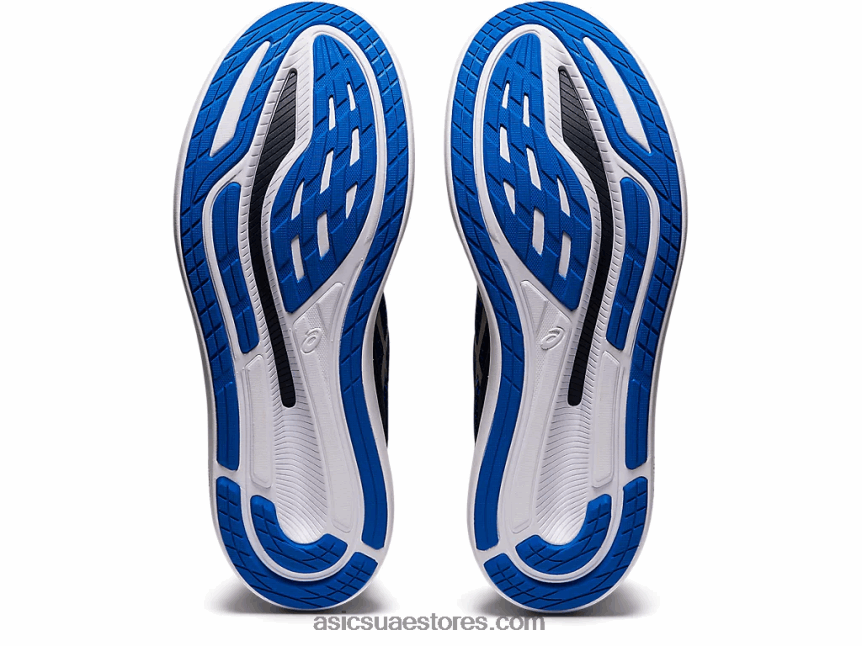Asics الأزرق الفرنسي / الفضة النقية طائرة شراعية 2 لايت شو 2N24DJ1800