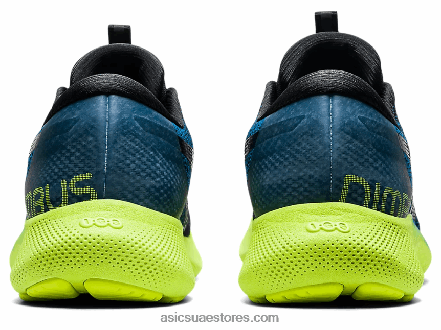 Asics تولد من جديد أزرق / أسود هلام نيمبوس لايت 2 2N24DJ1970