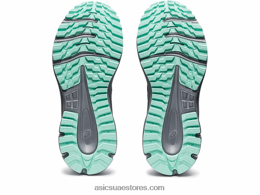 Asics أسود / خشب البتولا درب الكشف 2 2N24DJ3730