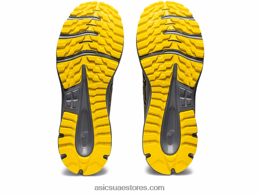 Asics أسود / أصفر ذهبي درب الكشف 2 2N24DJ408