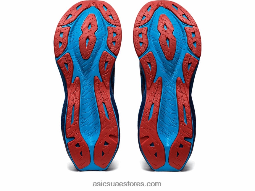 Asics أسود / أزرق الجزيرة نوفابلاست 3 2N24DJ377