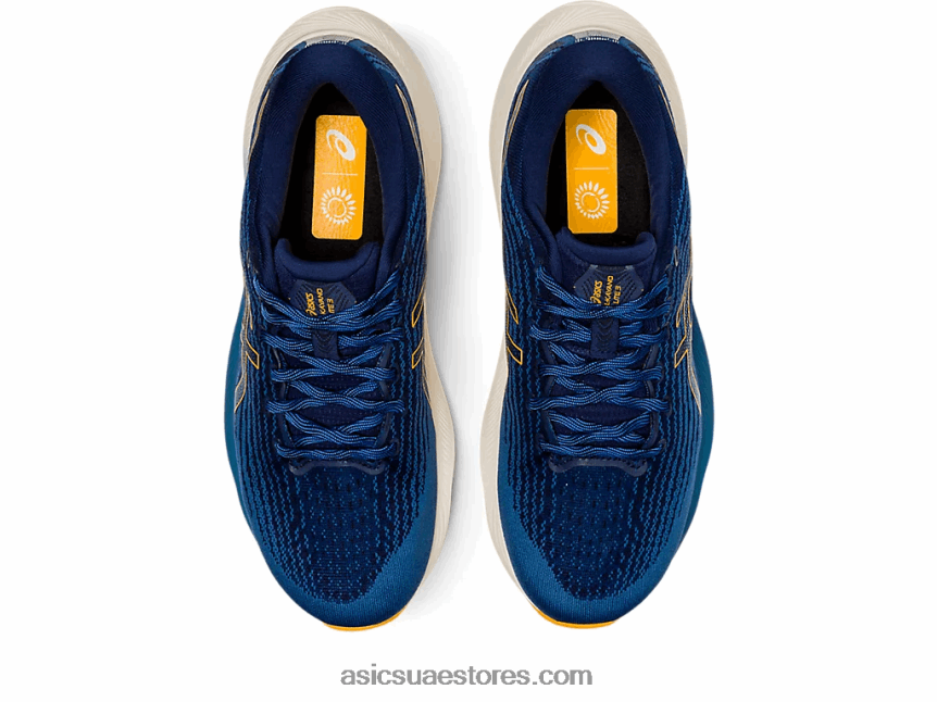Asics اللازوردية / العنبر جل كايانو لايت 3 2N24DJ796