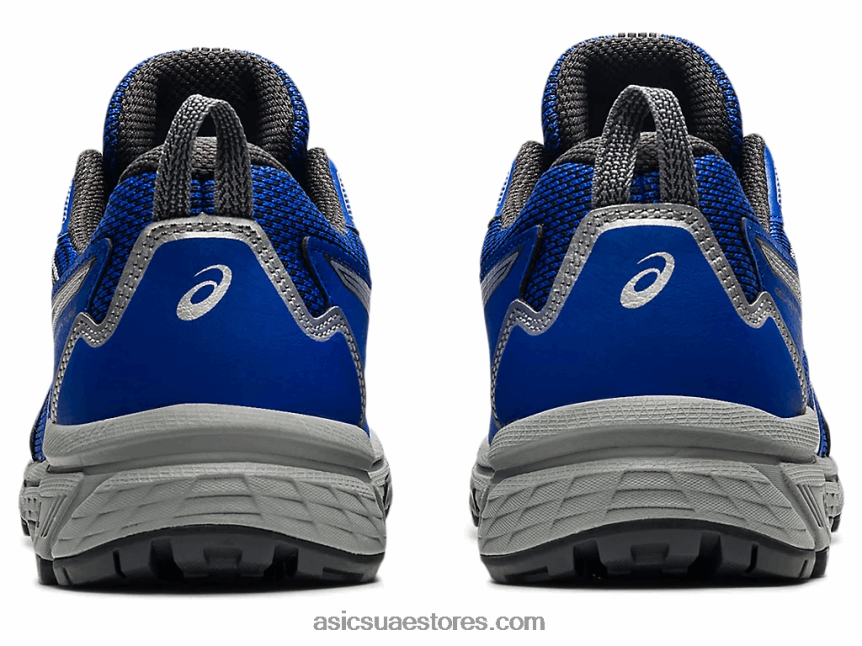Asics اللازورد الأزرق / الفضة النقية جل فينشر 8 2N24DJ3630