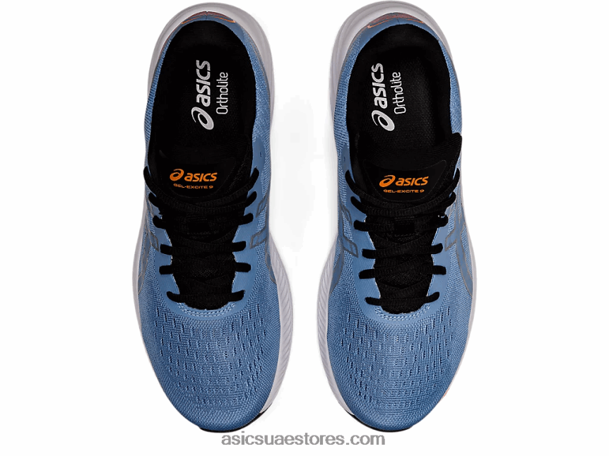 Asics النعيم الأزرق / الفضة النقية جل اكسايت 9 2N24DJ1329