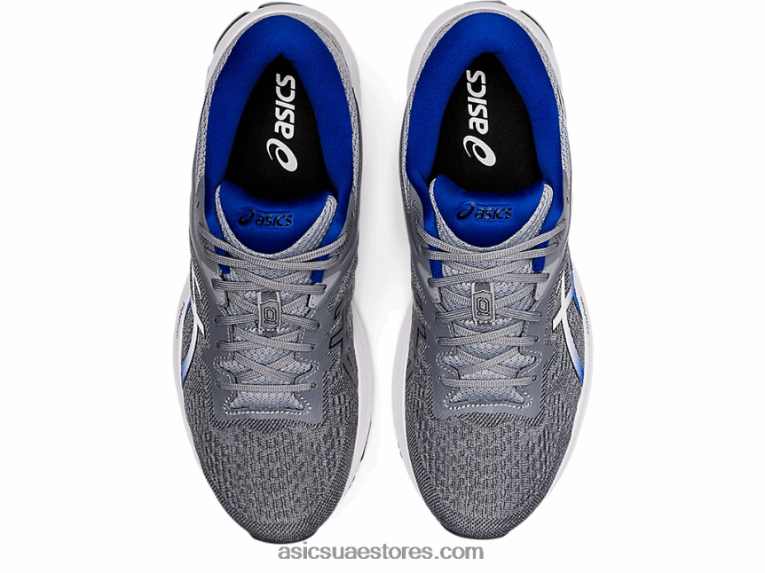 Asics صفيحة روك / موناكو بلو GT-1000 10 2N24DJ1051