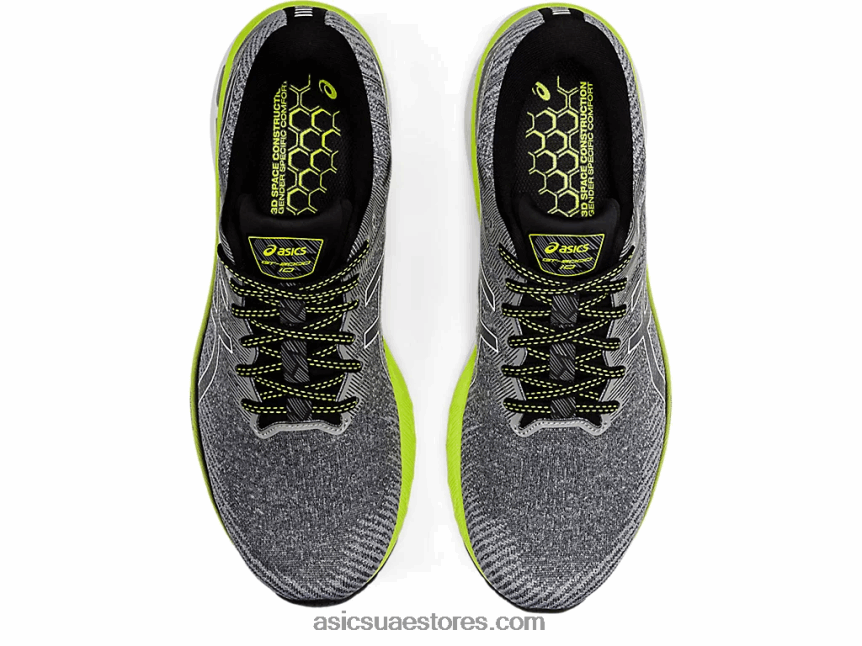 Asics الناقل رمادي / أبيض GT-2000 10 2N24DJ1475